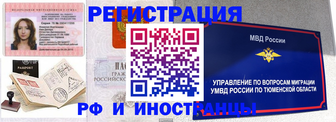 где прописаться в Дмитрове
